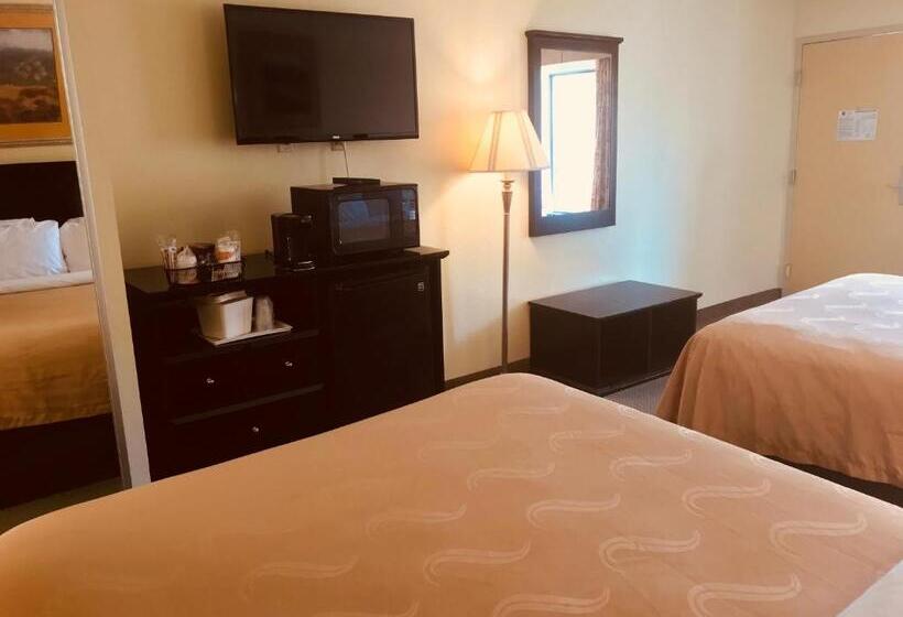 Номер Стандарт, Quality Inn & Suites Conference Center Statesboro Historic District