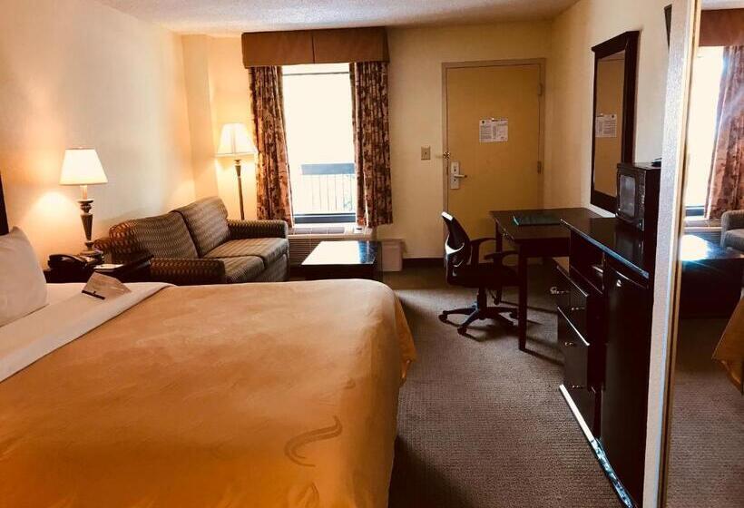 Стандартный Номер Кровать Кинг, Quality Inn & Suites Conference Center Statesboro Historic District