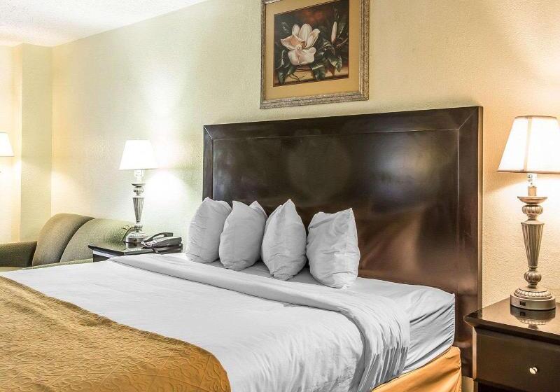 Стандартный Номер Кровать Кинг, Quality Inn & Suites Conference Center Statesboro Historic District