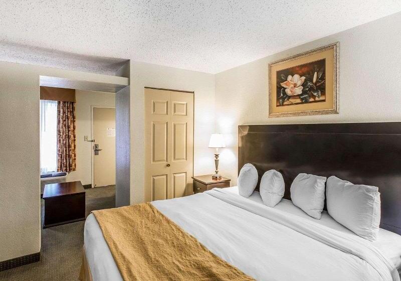 Люкс Кровать Кинг, Quality Inn & Suites Conference Center Statesboro Historic District