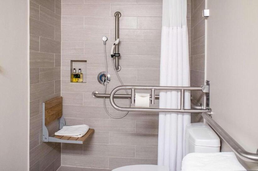 Номер Стандарт Кровать Кинг Адаптированный для Инвалидов, The Rushmore Hotel & Suites; Bw Premier Collection
