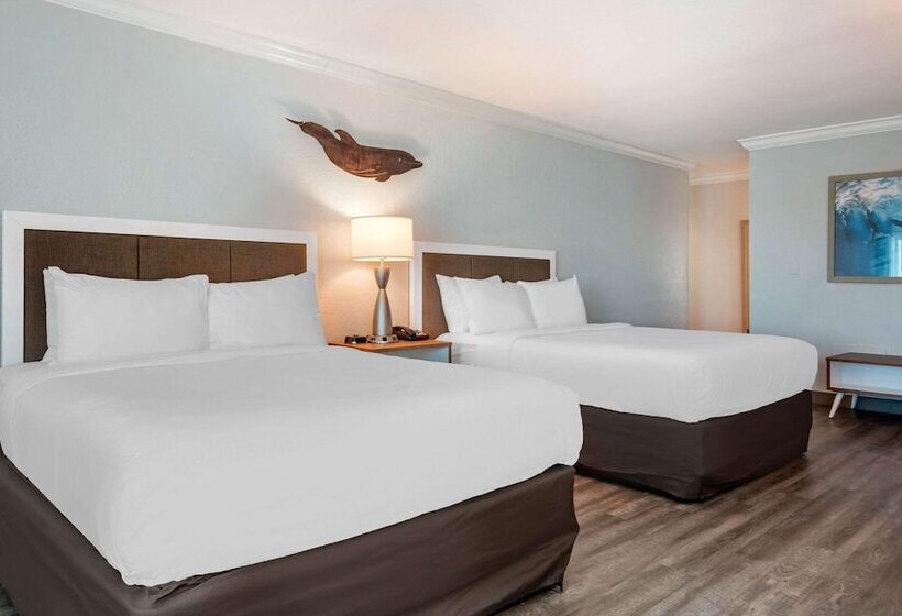 اتاق استاندارد با 2 تخت دوبل, Winter The Dolphin S Beach Club, Ascend Hotel Collection