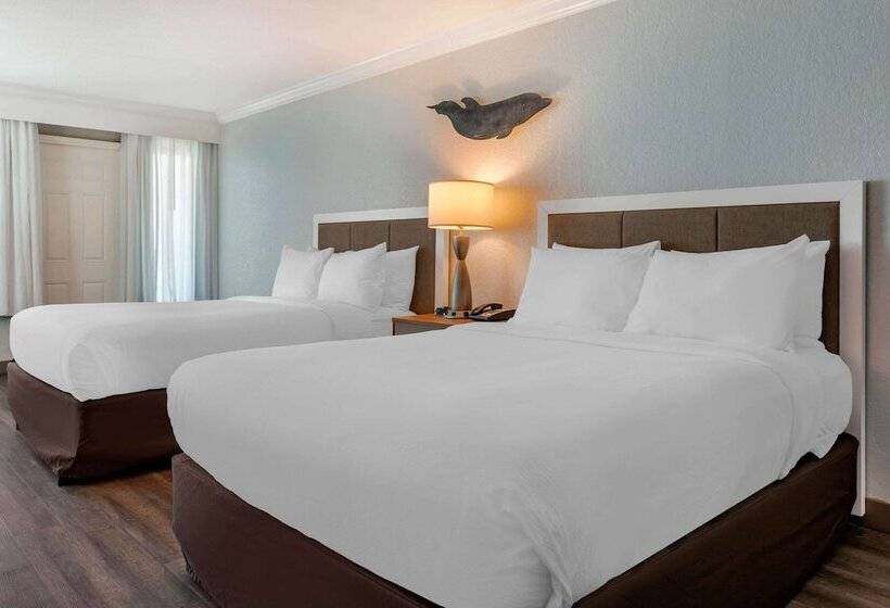 اتاق استاندارد با 2 تخت دوبل, Winter The Dolphin S Beach Club, Ascend Hotel Collection