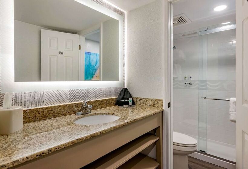 Standard Room Double Bed City View, Winter The Dolphin S Beach Club, Ascend Hotel Collection