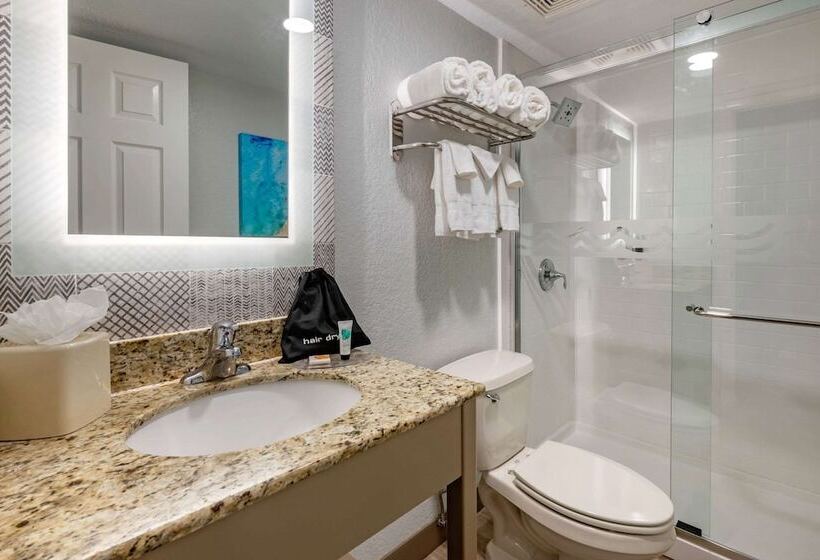 Standard Room Double Bed City View, Winter The Dolphin S Beach Club, Ascend Hotel Collection