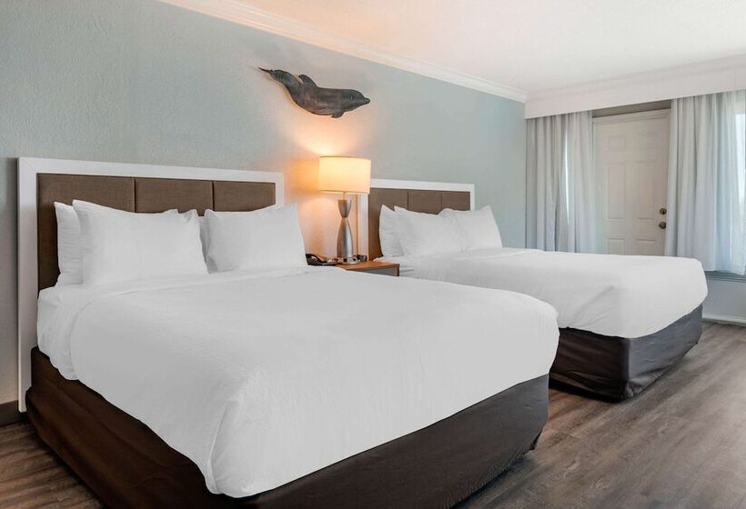 Standard Room Double Bed City View, Winter The Dolphin S Beach Club, Ascend Hotel Collection
