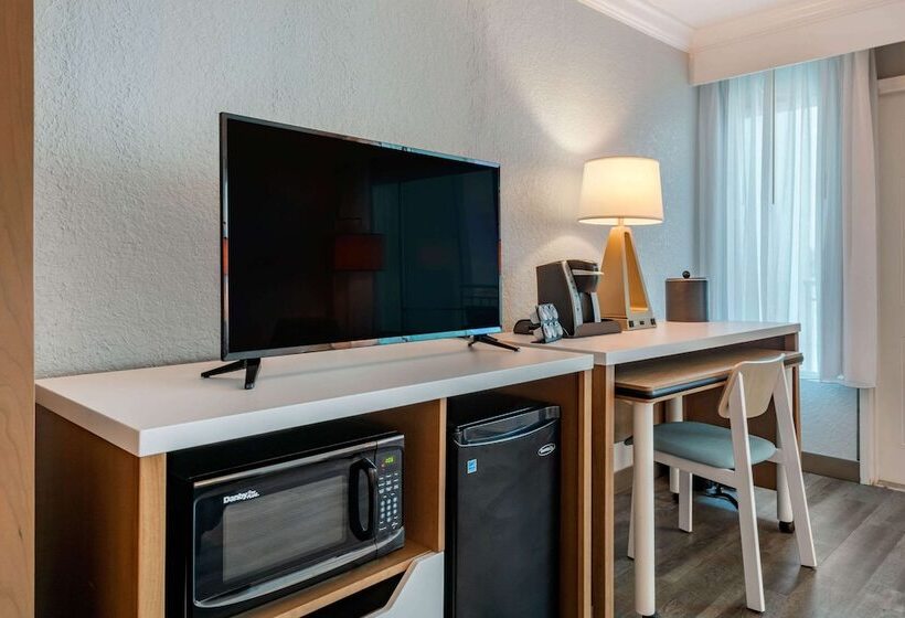 Standard Room Double Bed City View, Winter The Dolphin S Beach Club, Ascend Hotel Collection