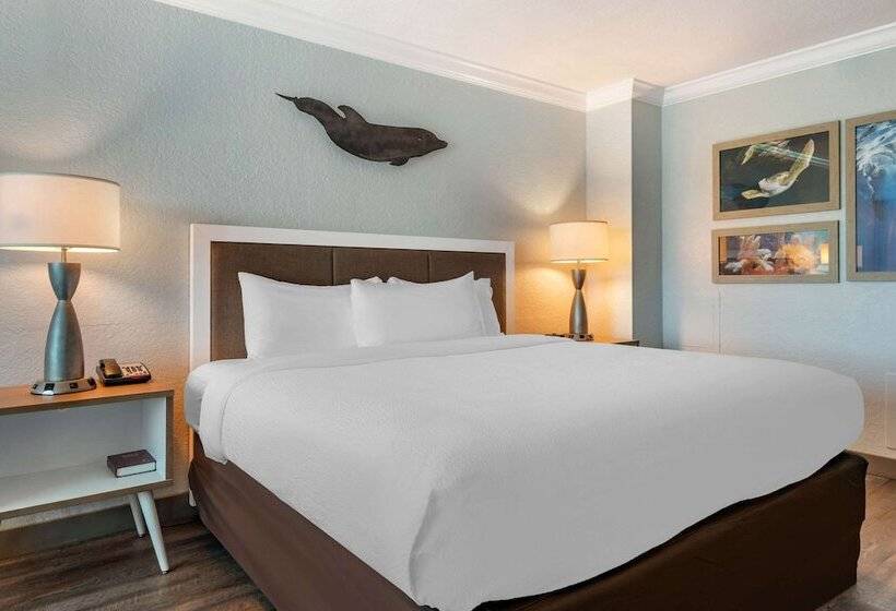 Standard Room Double Bed City View, Winter The Dolphin S Beach Club, Ascend Hotel Collection