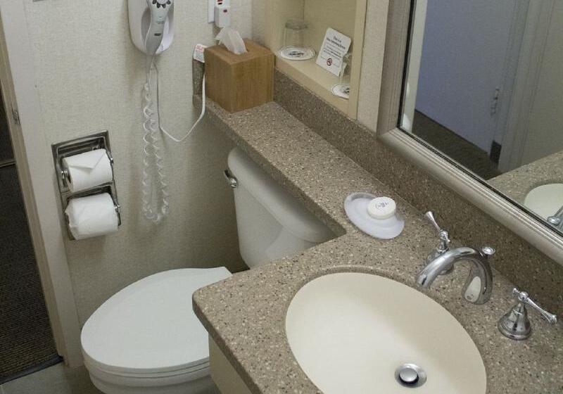 带大床的标准间, Handlery Hotel San Diego