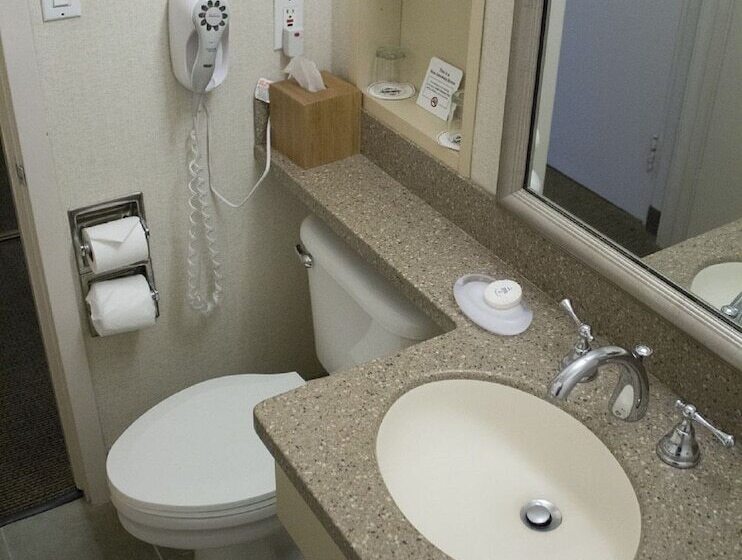 标准间, Handlery Hotel San Diego