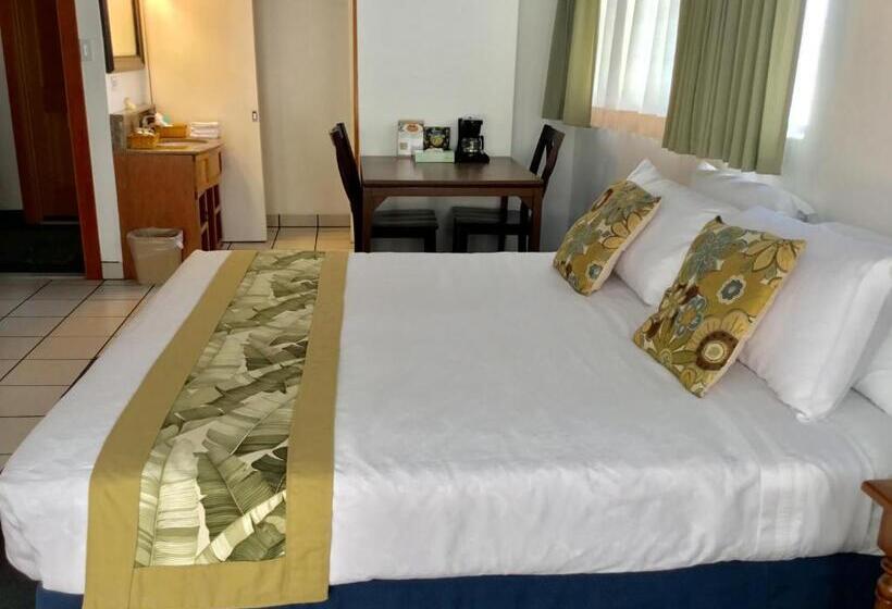 Apartamento Deluxe 1 Dormitório, Holiday Surf
