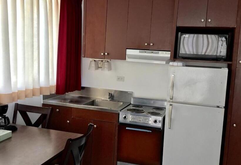 Apartamento Deluxe 1 Dormitório, Holiday Surf