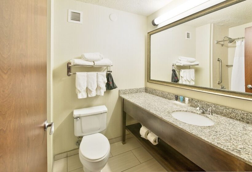Standaardkamer met 2 Tweepersoonsbedden, Crowne Plaza Indianapolis Dwtn Union Stn, An Ihg