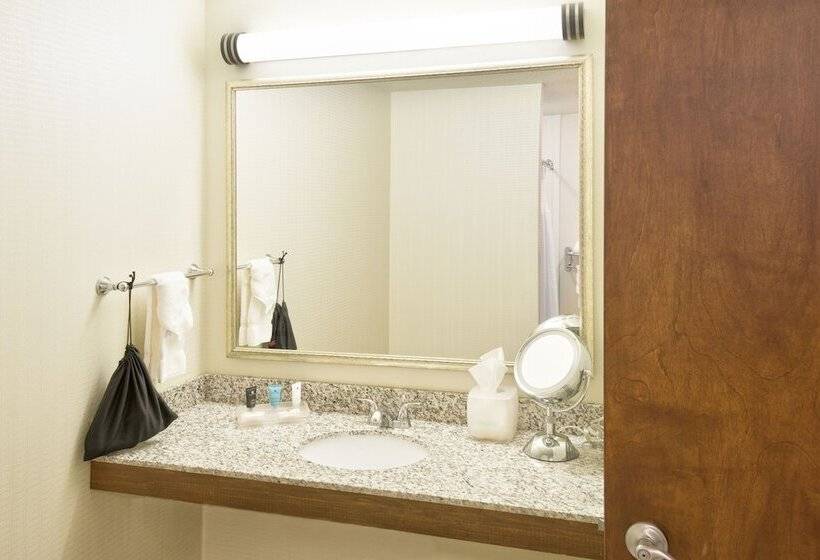 Номер Стандарт, Crowne Plaza Indianapolis Airport, An Ihg