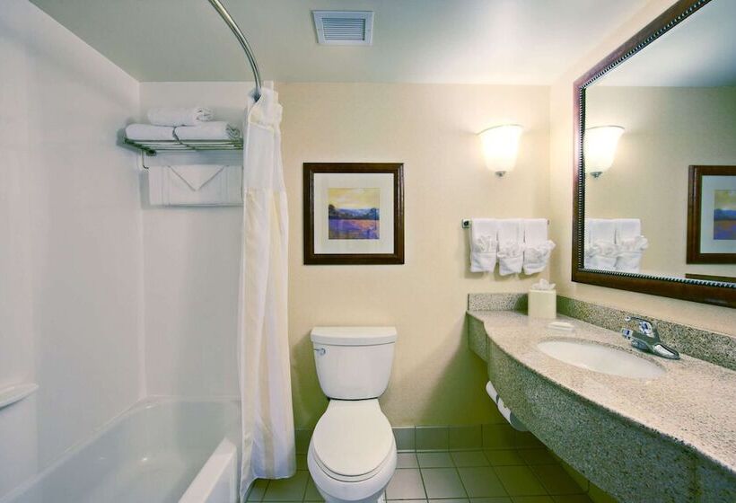 Standard Szoba, Hilton Garden Inn Springfield, Il