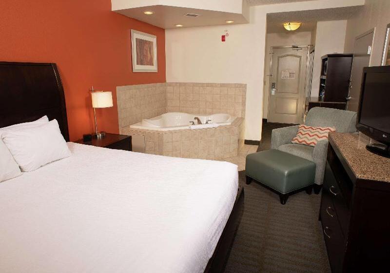 Standard Szoba King Size Bed, Hilton Garden Inn Springfield, Il
