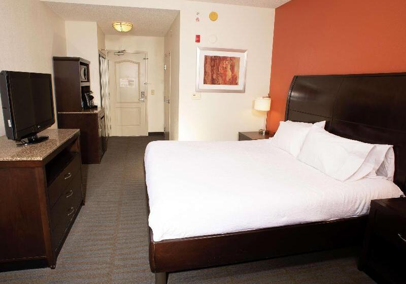 Premium Szoba, Hilton Garden Inn Springfield, Il