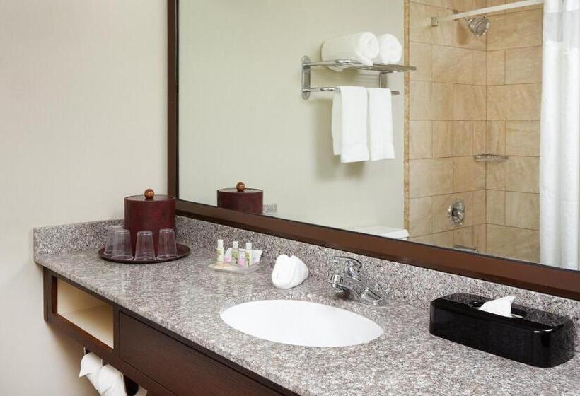 이그제큐티브 룸 킹사이즈 침대, Holiday Inn Chicago Matteson Conf Center, An Ihg