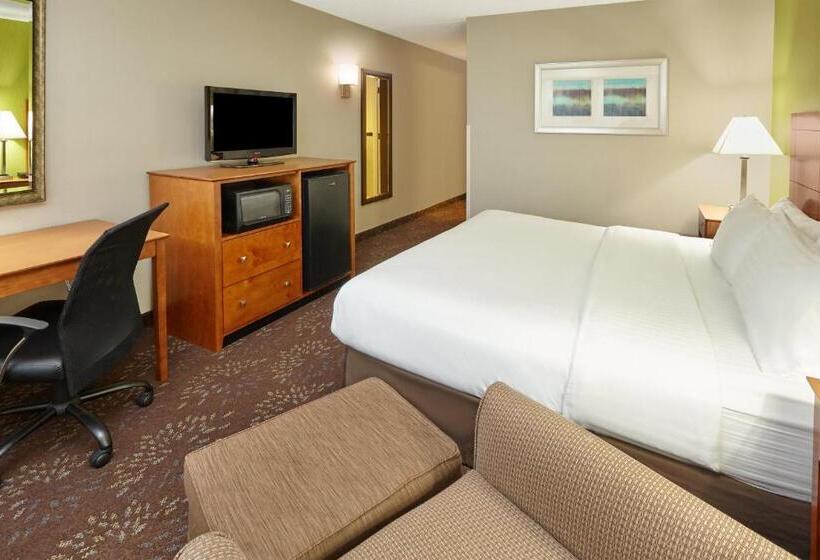 장애인을 위한 킹사이즈 침대 스탠다드 룸, Holiday Inn Chicago Matteson Conf Center, An Ihg
