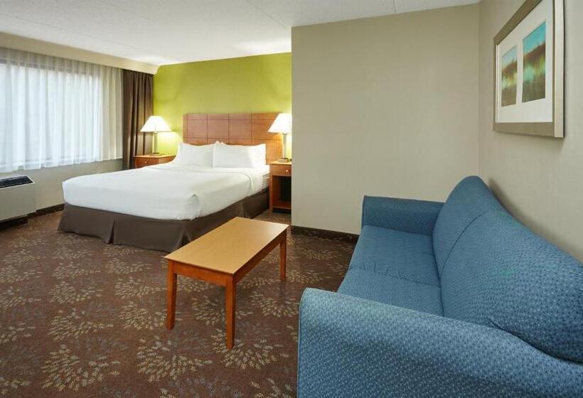 스탠다드 룸 킹사이즈 침대, Holiday Inn Chicago Matteson Conf Center, An Ihg