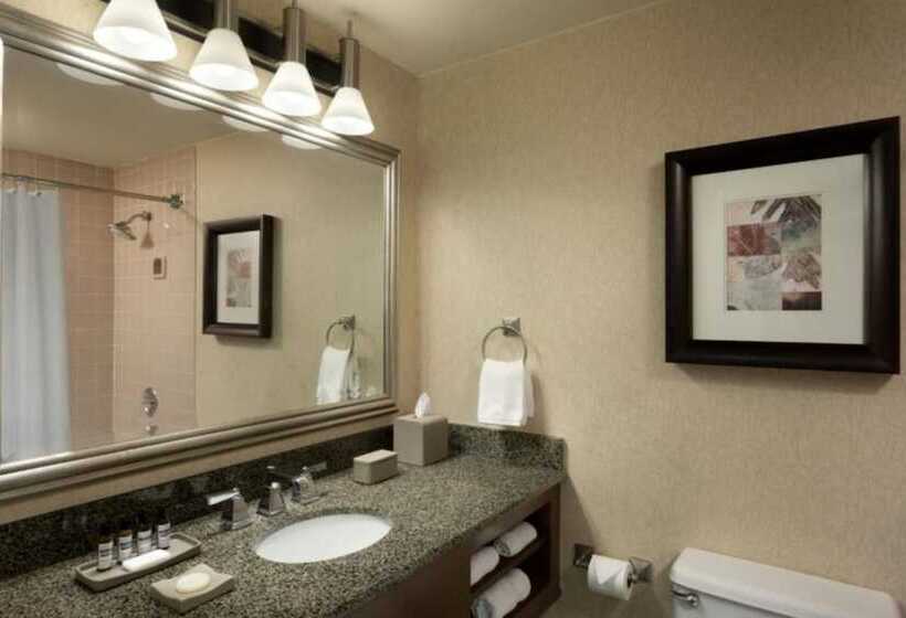 스위트, Hyatt Regency Houston West