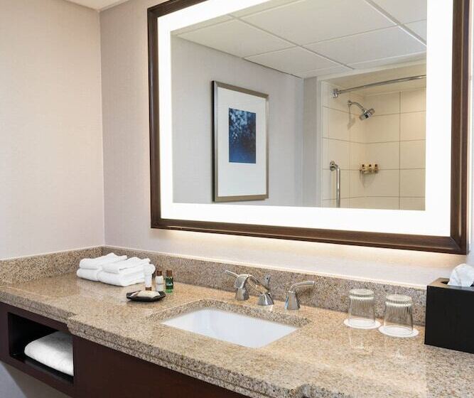 带双人床的经典房间, Sheraton Memphis Downtown