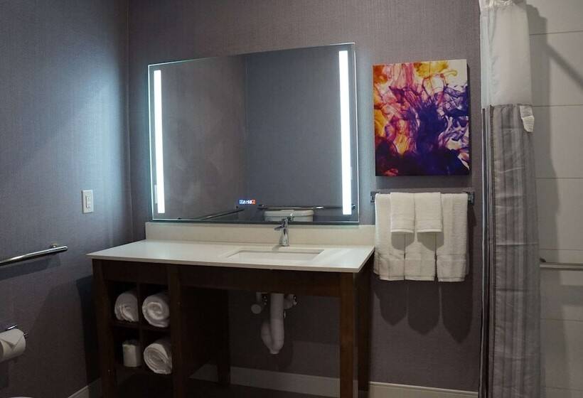 Номер Deluxe Адаптированный для Инвалидов, La Quinta Inn & Suites By Wyndham Lewisville