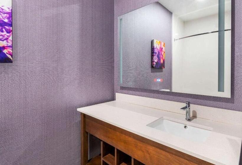 Номер Стандарт Кровать Кинг Адаптированный для Инвалидов, La Quinta Inn & Suites By Wyndham Lewisville
