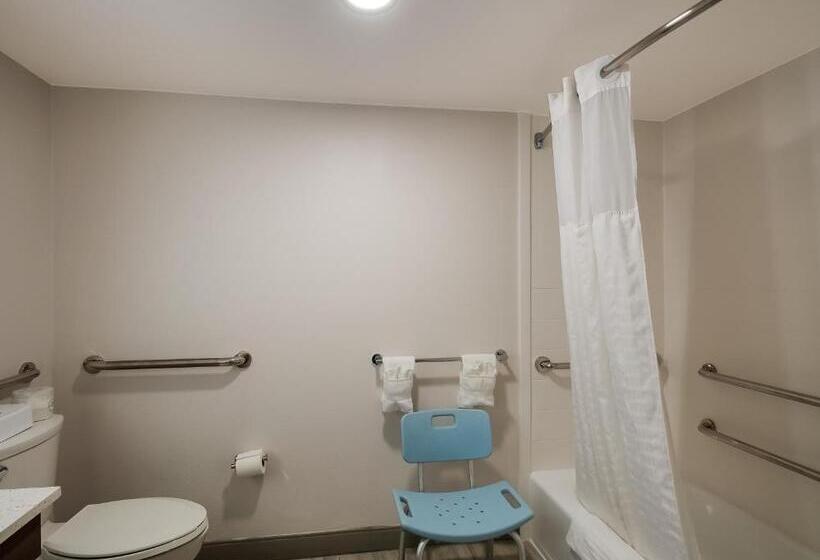 اتاق استاندارد برای معلولان, Comfort Inn Falls Church   Tysons Corner