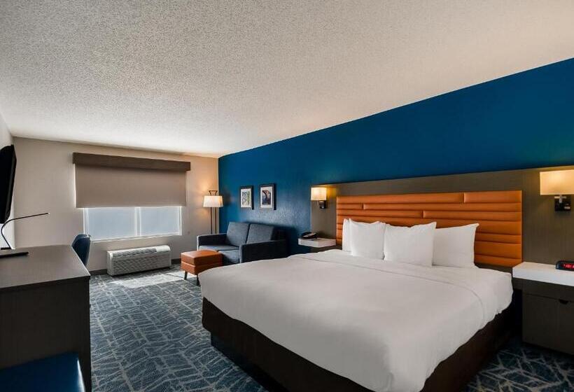 اتاق استاندارد با تخت بزرگ, Comfort Inn Falls Church   Tysons Corner