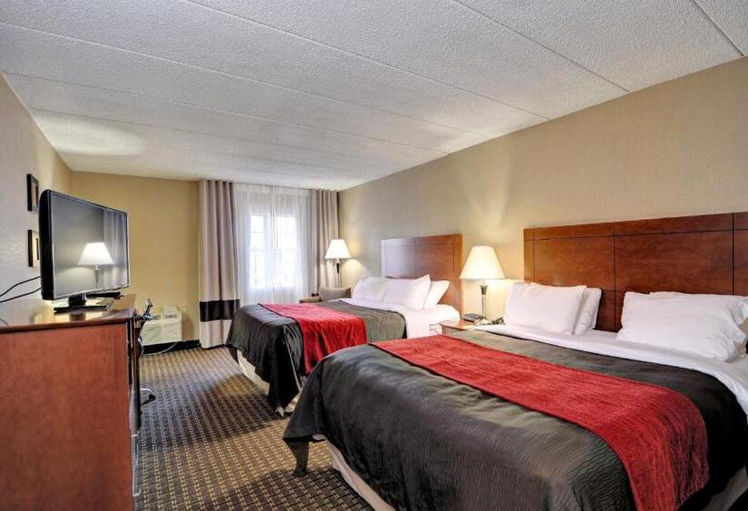 스탠다드 룸, Comfort Inn & Suites Raphine  Lexington Near I81 And I64