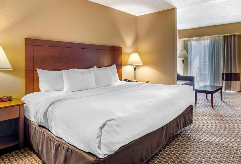 스위트 킹사이즈 침대, Comfort Inn & Suites Raphine  Lexington Near I81 And I64