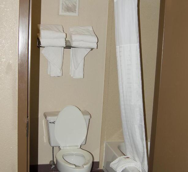 스탠다드 룸 킹사이즈 침대, Comfort Inn & Suites Raphine  Lexington Near I81 And I64