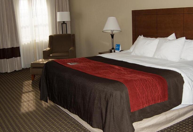 장애인을 위한 킹사이즈 침대 스탠다드 룸, Comfort Inn & Suites Raphine  Lexington Near I81 And I64