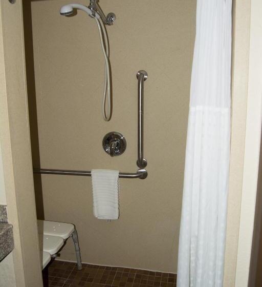 장애인을 위한 킹사이즈 침대 스탠다드 룸, Comfort Inn & Suites Raphine  Lexington Near I81 And I64