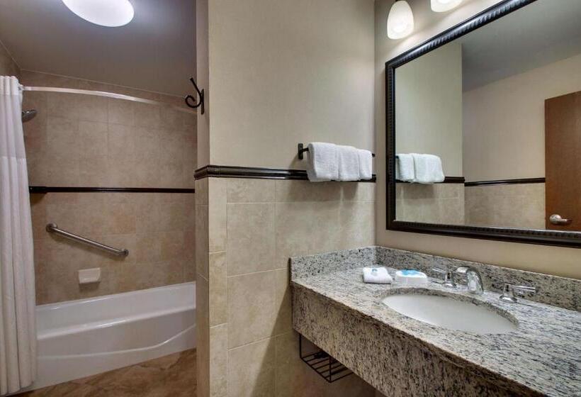 اتاق لوکس با تخت بزرگ, Drury Plaza Hotel Broadview Wichita