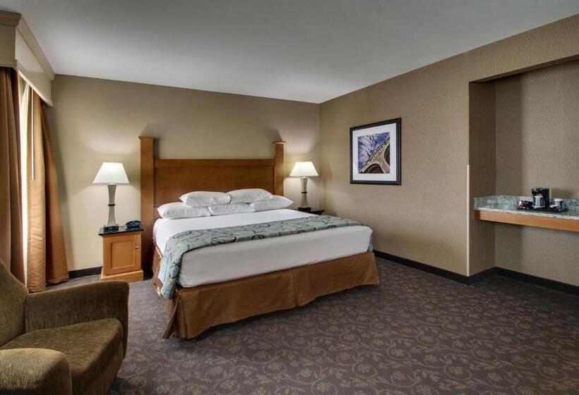 اتاق لوکس با تخت بزرگ, Drury Plaza Hotel Broadview Wichita