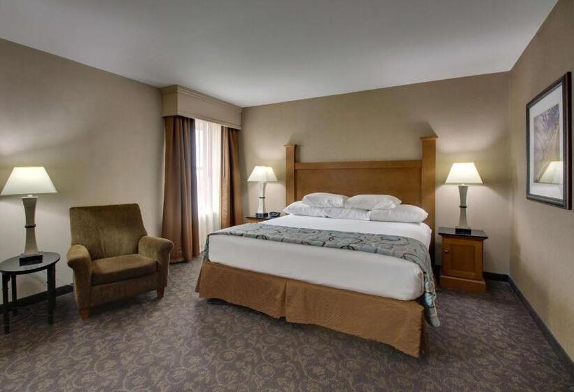 اتاق لوکس با تخت بزرگ, Drury Plaza Hotel Broadview Wichita