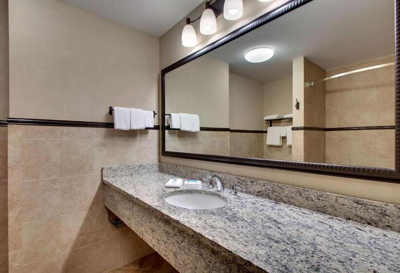 اتاق سوپریور با چشم‌انداز, Drury Plaza Hotel Broadview Wichita