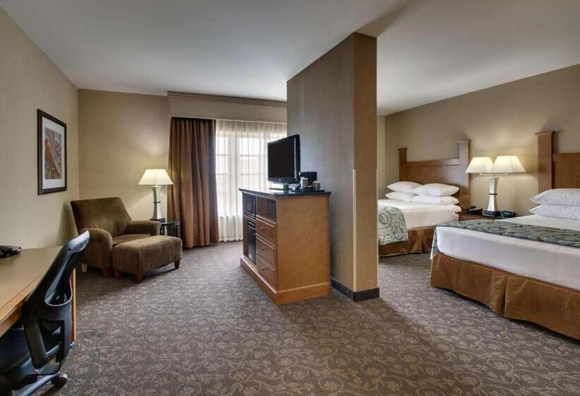 اتاق سوپریور با چشم‌انداز, Drury Plaza Hotel Broadview Wichita
