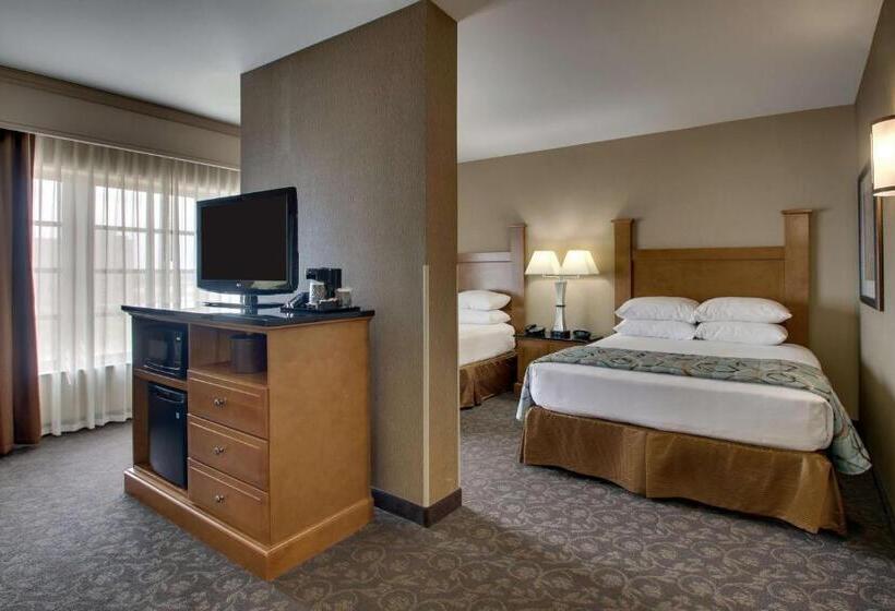 اتاق سوپریور با چشم‌انداز, Drury Plaza Hotel Broadview Wichita