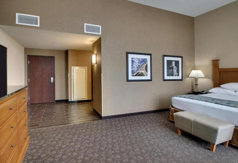 اتاق سوپریور با چشم‌انداز, Drury Plaza Hotel Broadview Wichita