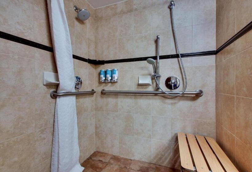 اتاق دلوکس مخصوص معلولین, Drury Plaza Hotel Broadview Wichita