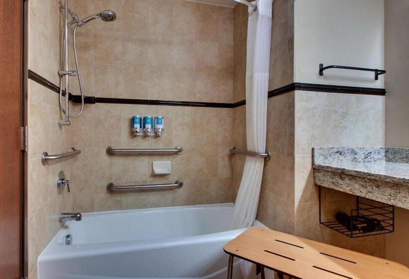 سوئیت برای معلولان, Drury Plaza Hotel Broadview Wichita