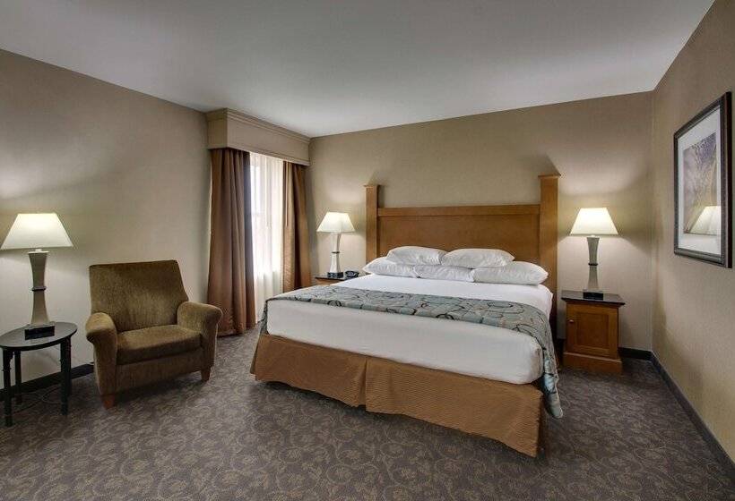 اتاق لوکس, Drury Plaza Hotel Broadview Wichita