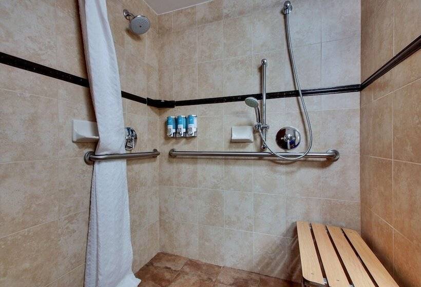 اتاق دلوکس مخصوص معلولین, Drury Plaza Hotel Broadview Wichita