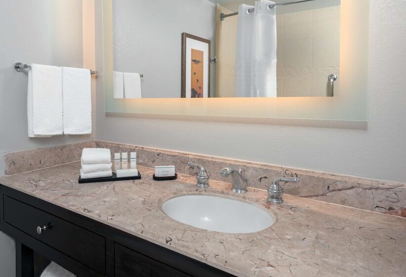 סוויטת פרמיום, Embassy Suites By Hilton Dallas Park Central Area