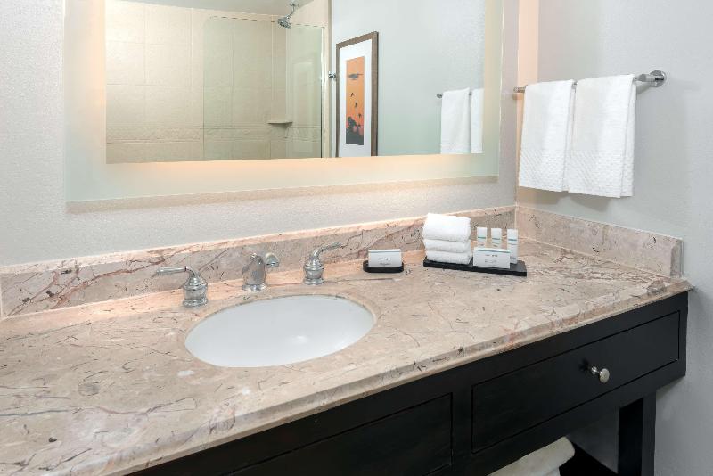 סוויטת פרמיום, Embassy Suites By Hilton Dallas Park Central Area