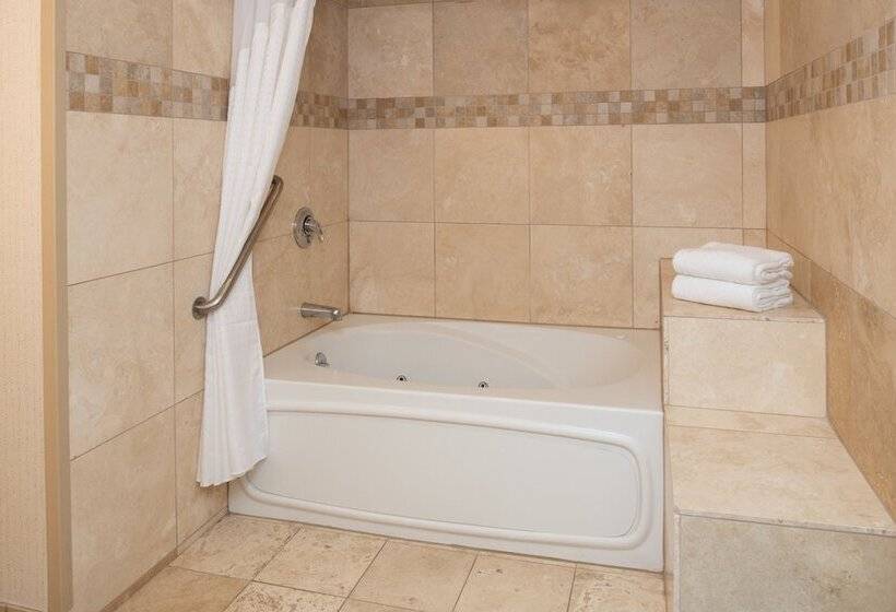 Номер Премиум, Holiday Inn Portland   Columbia Riverfront, An Ihg