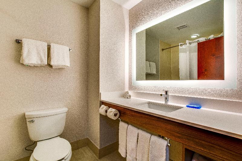 اتاق استاندارد برای معلولان, Red Lion Hotel Pasco Airport & Conference Center